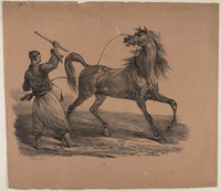 TvB G 6211
<br/>
De paardentemmer
<br/>
<em>Delpech, François Séraphin (1778-1825)</em>